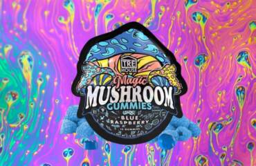 TREHouse magic mushrooms review: are they worth it?