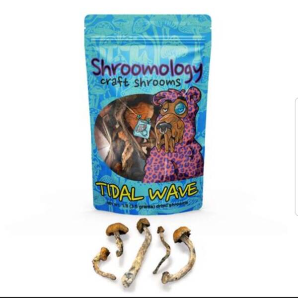 Tidal wave  mushrooms